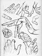素描画手的方法及手的解剖结构_广州艺库画室_新浪博客