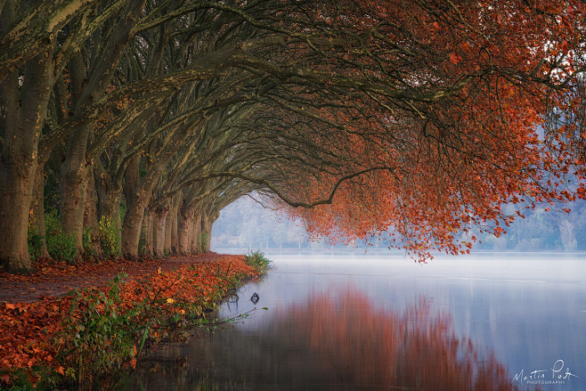 Tunnel of autumn - M...