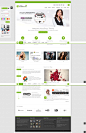 Alterna Retina Responsive Multi-Purpose Wordpress Theme | Just another WordPress site