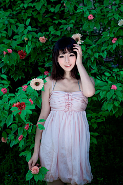 ～莣懮草～采集到人淡如菊
