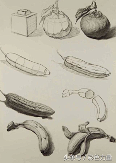 min敏min采集到素描静物