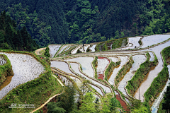 Dru_Z采集到云贵素材