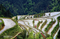 中国最美的山水画–苗寨梯田美景 : 位于贵州从江县加榜乡的苗寨大多坐落在半山腰中，一眼望去山腰都是层层梯田，梯田沿山势蜿蜒屈伸，像梦编织成的华章，在山坡上一挥而就，时而似行云的高亢，时而似流水的柔美。这里山清水秀，空谷鸟鸣，民风淳朴。梯田中散落着独具特色的苗家吊脚楼。.