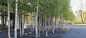 Rehwaldt Landscape Architects