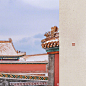 #2019年的第一场雪#想和你一起去故宫看雪... O绿洲 ​​​​