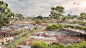 Moonee Ponds Creek沿岸区域规划草案 / McGregor Coxall
egate湿地效果图