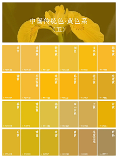 巴啦啦小仙子采集到色彩