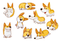 Sleeping Corgi 1 : Sleeping Corgi ⓒ 25plan