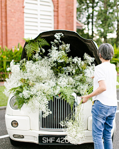 毛毛*🐱*采集到花车