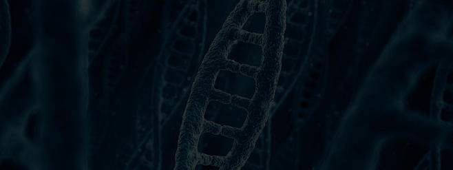 水母基因_企业级基因检测服务平台