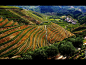 全部尺寸 | Douro Wine Region | Flickr - 相片分享！