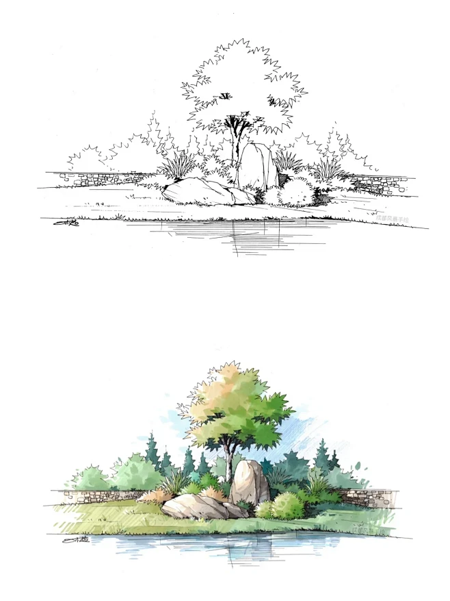 景观植物、山石、水组合手绘