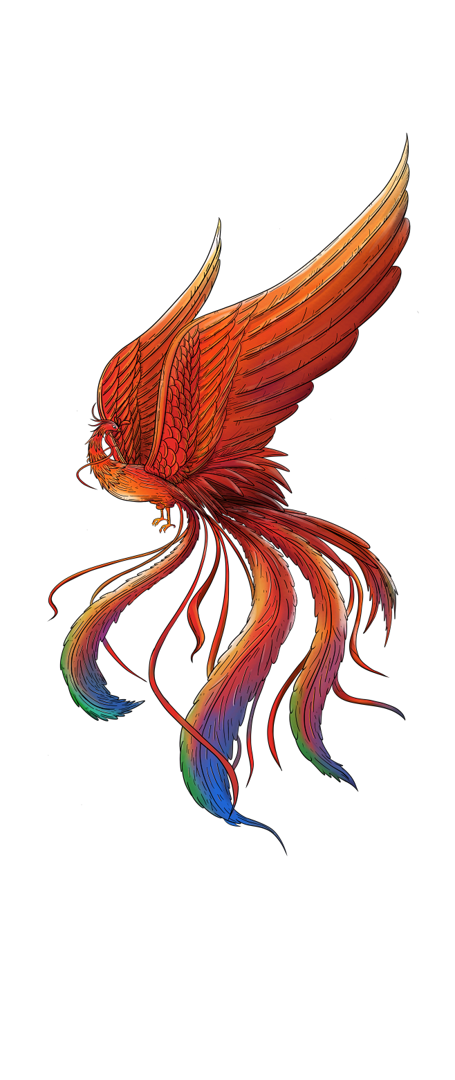 手绘凤凰插画
