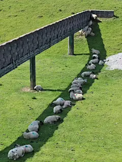 采集图片