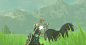 zelda breath of the wild GIF | Tumblr