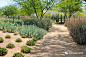 庄园︱安纳伯格庄园Sunnylands Center and Gardens