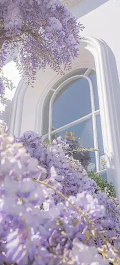 手机壁纸｜一期花束拿捏✨_8_哎呀玛呀_来自小红书网页版