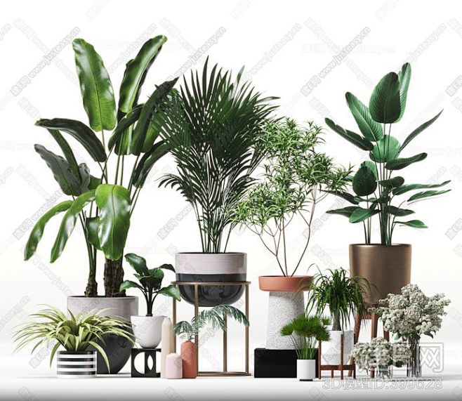 现代植物组合3d模型