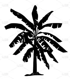 香蕉树的轮廓矢量