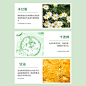 主图4_b0315858