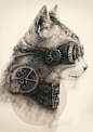 (cat,steampunk,art,gears,design,illustration)