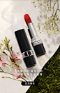 Dior迪奥366