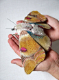 Fabric sculpture Large moth textile art by irohandbags on Etsy.   Wonderful!