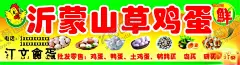 祁蒙山草鸡蛋门头海报 【酷图网】祁蒙山,草鸡蛋,门头,鸭蛋,土鸡蛋,鹌鹑蛋,皮蛋,咸蛋,海报