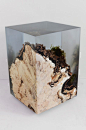 Tree stump set into resin preserves all the surface moss and other details.: 