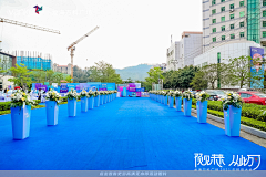 biu_biu__采集到迎宾花柱