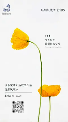早安，每日一签