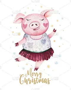 水彩可爱猪象征2019插图。孤立搞笑卡通平安动物拜年小猪艺术。