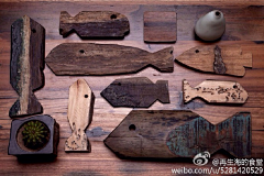 zhang木木采集到船木