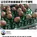 采集图片