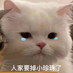 青绸采集到表情包