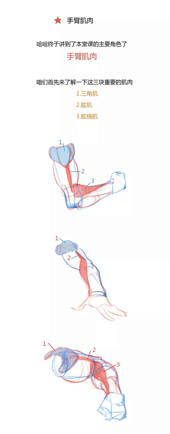 【春哥课堂】手臂肌肉到底怎么画？（理解+...