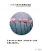 就算不快乐也不要皱眉，因为你永远不知道谁会爱上你的笑容。
