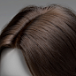 Realistic Hair XGen in Arnold, Box Shih : The hair is my first attempt at XGen,it was rendered with Arnold.