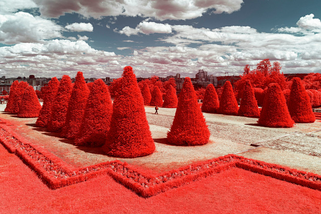 infrared Nature envi...
