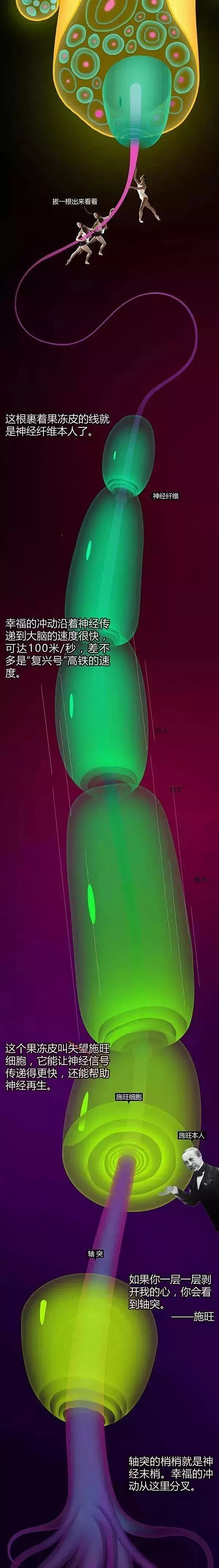 哈根达斯最新广告“尺度惊人”， 秒杀杜蕾...