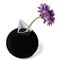 丹麦po：cuco vase 愤怒的小鸟花瓶/个性桌面花瓶 (黑色） 想去精选 原创 设计 新款 2013 正品 代购  淘宝