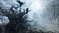 The Witcher creepy forests mist video games wallpaper (#679392) / Wallbase.cc