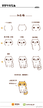看你人模人样的，竟然连猫都没有啊哈哈哈哈哈，来画几只猫吧～#罗罗布简笔画#加菲猫，暹罗猫，中华田园猫，布偶猫