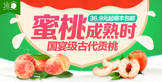 食品首页