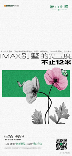 盐鱼儿采集到几何植物