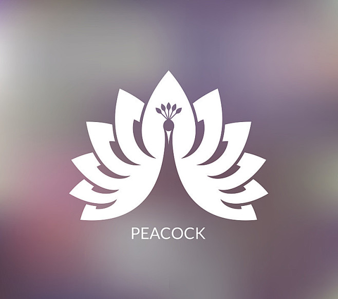 白孔雀,孔雀,孔雀羽毛,翎毛,异国情调,...