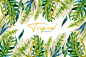 水彩手绘绿色热带雨林棕榈叶芭蕉叶插图背景AI矢量设计素材AW1924-淘宝网