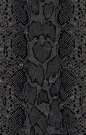 Snake Skin Pattern