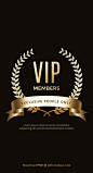 vip