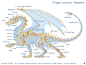 Dragon skeletal structure.